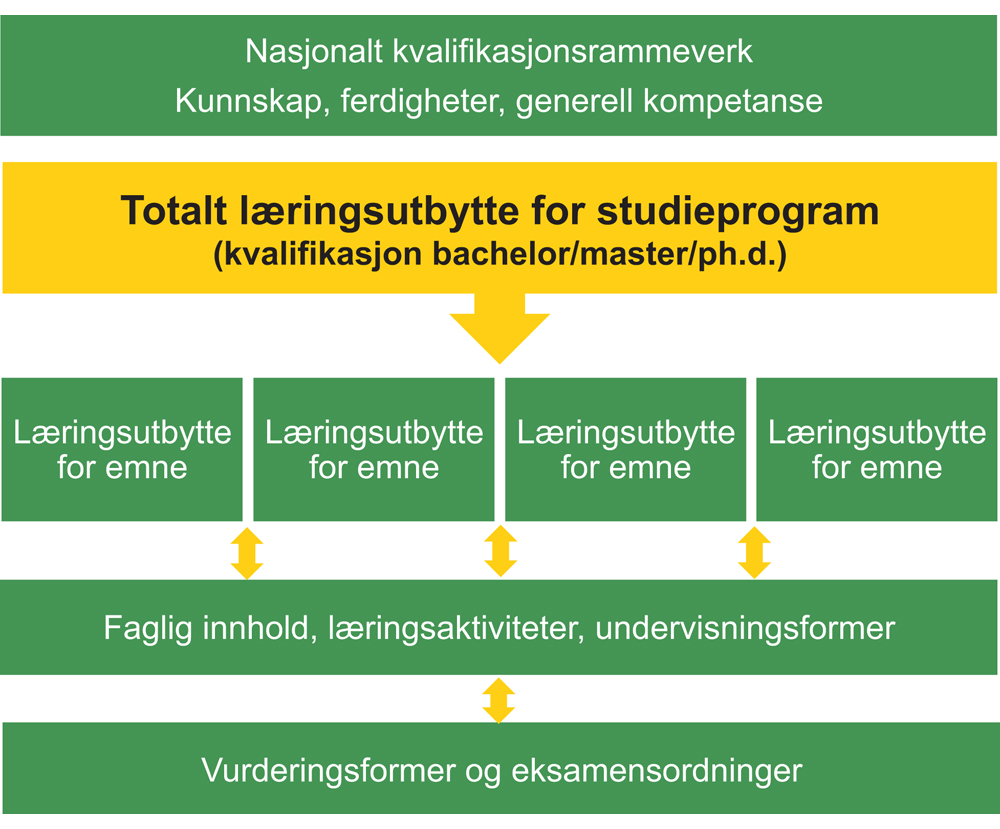 Figur 3.1 Læringsutbytte i program- og emneplaner