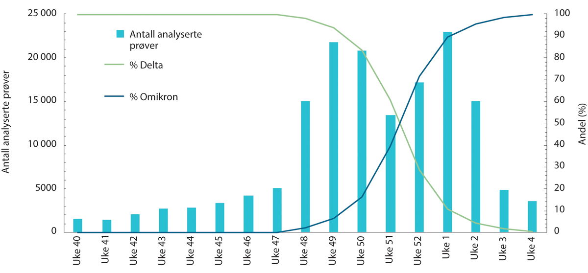 Figur 2.15 Antall analyserte prøver etter uke og andel delta- og omikronvarianter blant de analyserte prøvene. 4. oktober 2021 – 30.januar 2022.
