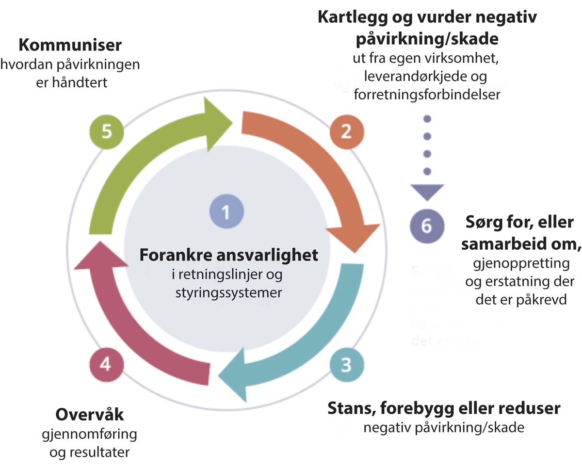 Figur 11.5 OECDs veileder for aktsomhetsvurderinger
.
