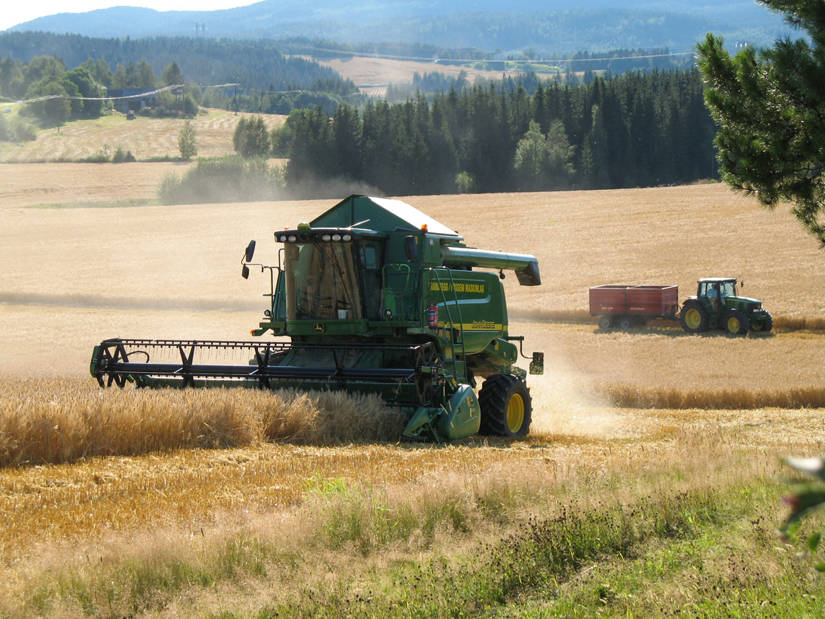 Figure 11.2 Threshing in Trøndelag