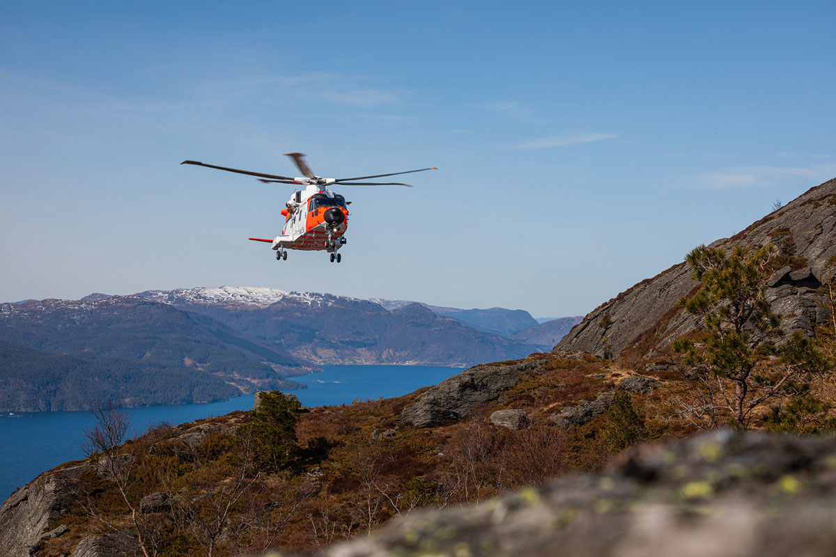 Figure 2.2 SAR Queen