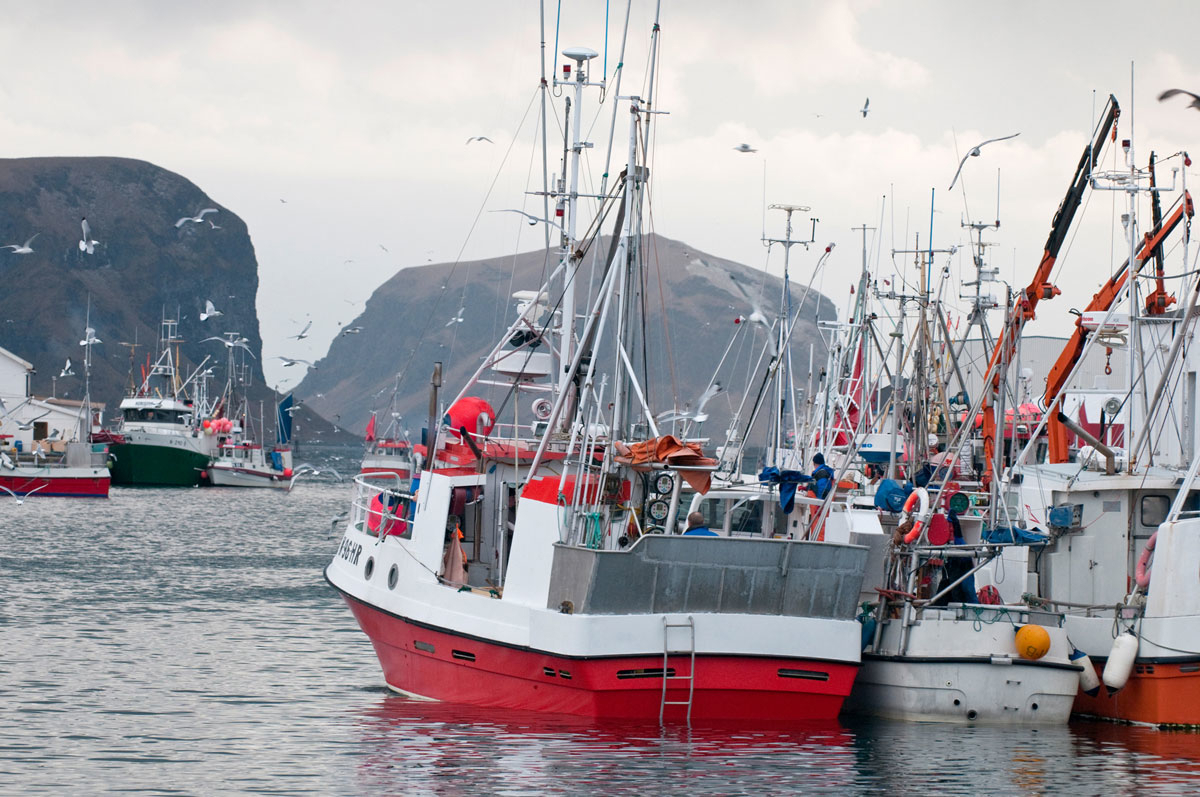 Figure 3.2 Fishing boats at Røst in Lofoten