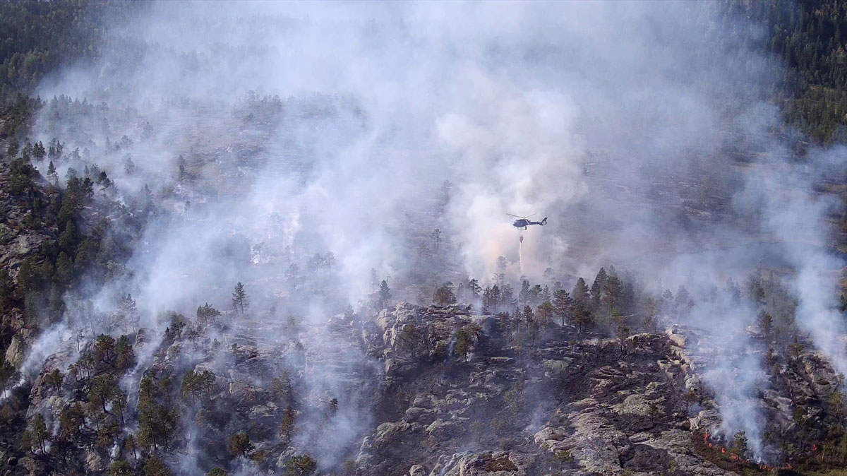 Figure 5.1 Forest fire