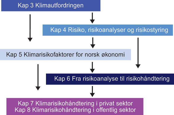 Figur 1.1 Oppbygging av rapporten