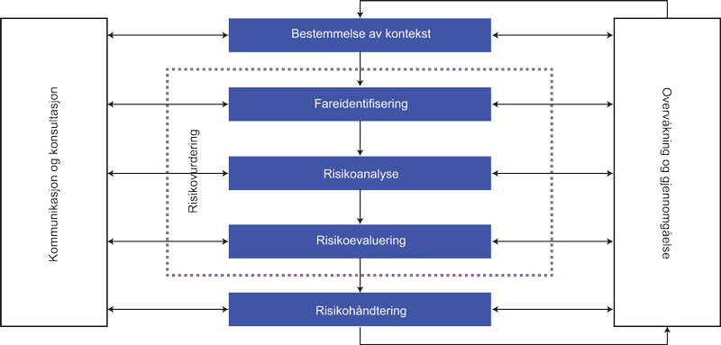 Figur 4.1 Elementene i et system for risikostyring