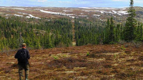 Grenseløst, gode naturopplevelser på begge sider av grensen. Grenseløst, gode naturopplevelser på begge sider av grensen.
