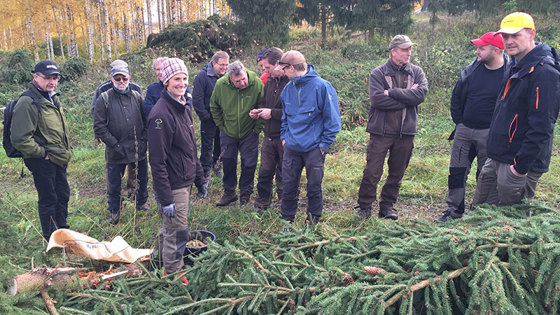 Fylkesmannens og kommunenes skogbruksansvarlige på fagdag om konglesanking på Sanderud frøplantasje høsten 2015. Fylkesmannens og kommunenes skogbruksansvarlige på fagdag om konglesanking på Sanderud frøplantasje høsten 2015.