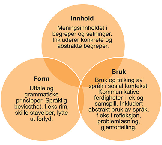 Figur 4.2 Modell som viser de tre komponentene i språket