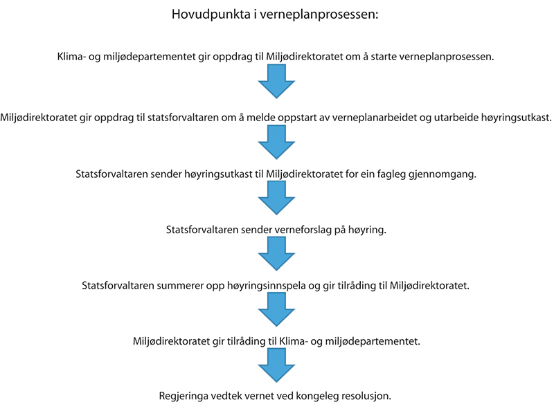Figur 3.1 Hovudpunkta i verneplanprosessen.