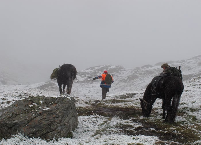 Figur 15.3 Med hest etter rein i Aurland statsallmenning