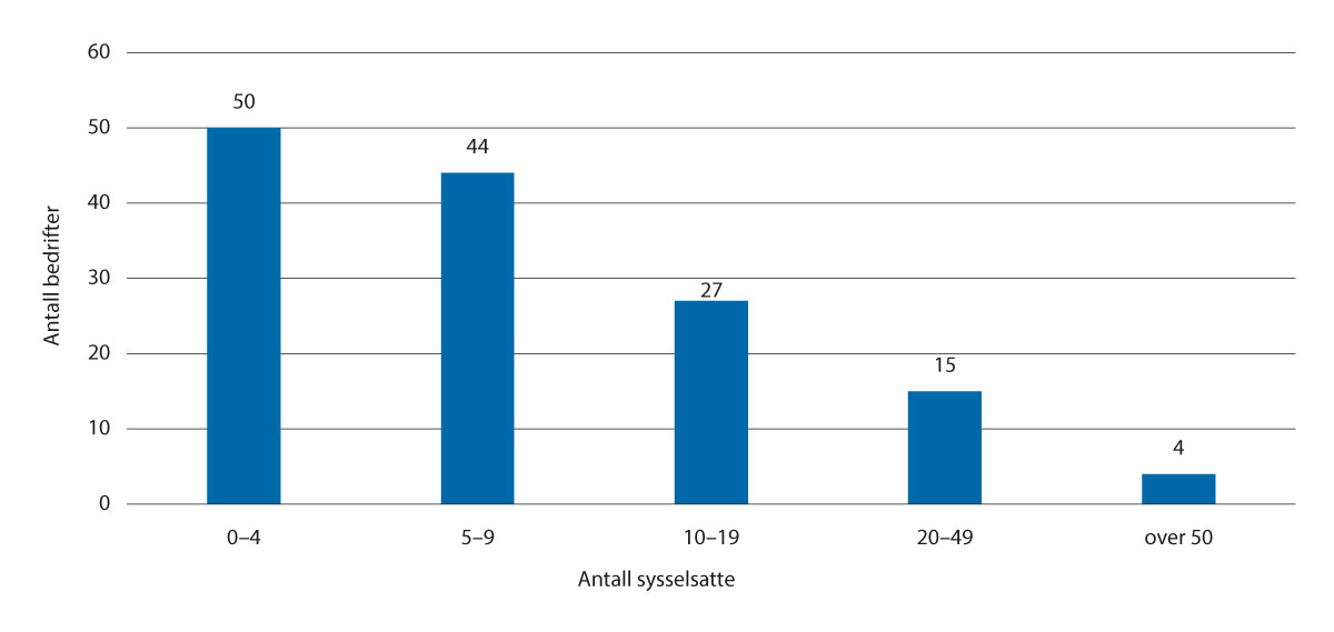 Figur 3.13 Sysselsetting i vekstbedriftene i 2022
