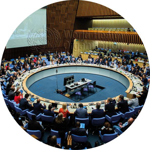 Executive Board Meeting of the World Health Organization, © WHO / Pierre Albouy