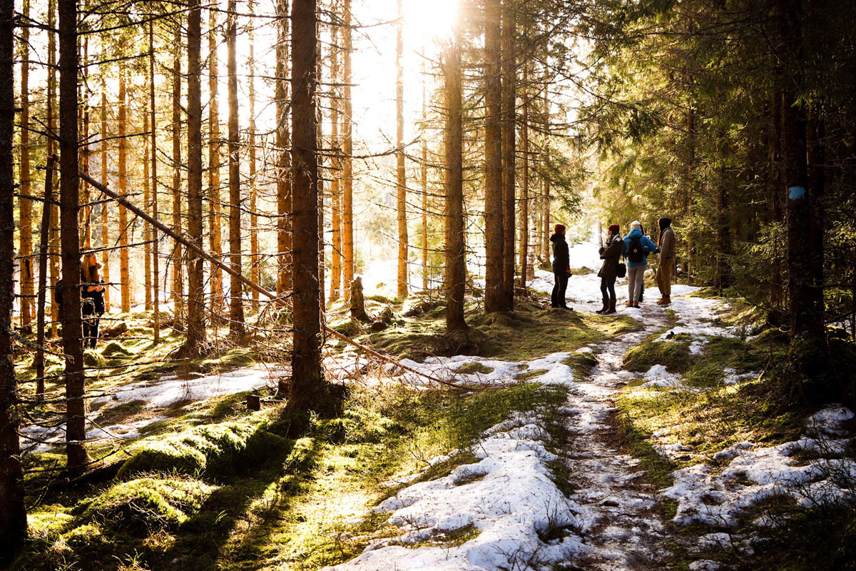 Figur 8.4 Forvaltet skog i Hurdal
