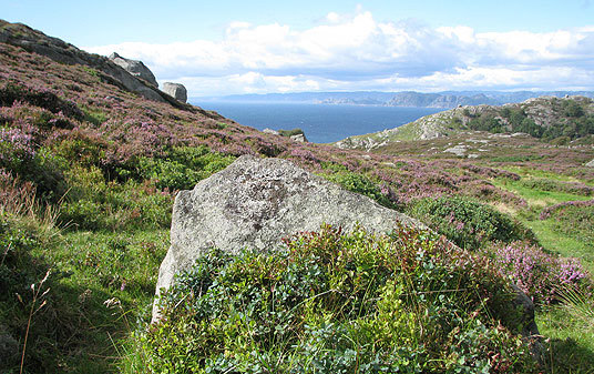 Vest-Lista - kystlynghei