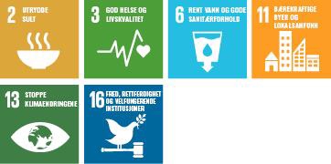 Ikon av bærekraftsmålene 2, 3, 6, 11, 13 og 16.