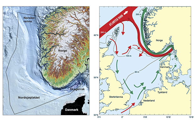 Figur 3.1 a) Forvaltningsplanområdet med bunntopografi. b) De viktigste trekkene ved sirkulasjonsmønstre og dybdeforhold i Nordsjøen og Skagerrak. Røde piler: atlantisk vann. Grønne piler: kystvann.