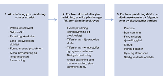 Figur 7.1 Oversikt over trinn i utredningsarbeidet. For alle aktiviteter, samt for klimaendring, havforsuring og langtransportert forurensning, identifiseres ulike påvirkningsfaktorer som kan ha effekt på miljø. For hver påvirkningsfaktor vurderes miljøkonsekv...