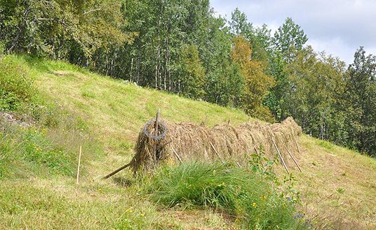 Slåtteeng, Øyrveiksbakkane i Bykle