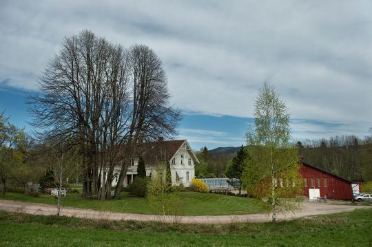 Gårdsbruk