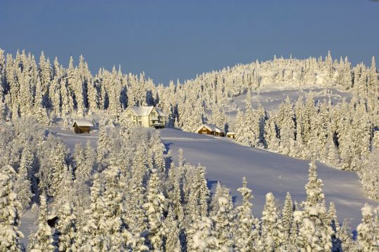 Gård i vinerlandskap