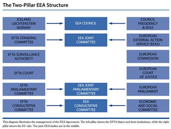 The two-pillar EEA structure.