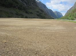 Fornying av eng - Våtedalen 4. juni 