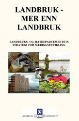 Strategi for næringsutvikling