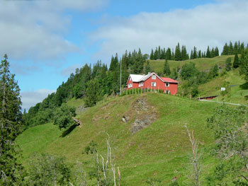 Fylkesnytt, Storlia i Leksvik, Foto: Erik Stenvik