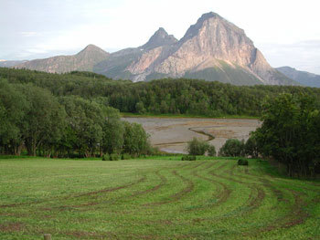 Fylkesnytt, Fra Rødøy kommune, Foto: gunnar Nygaard, FM Nordland