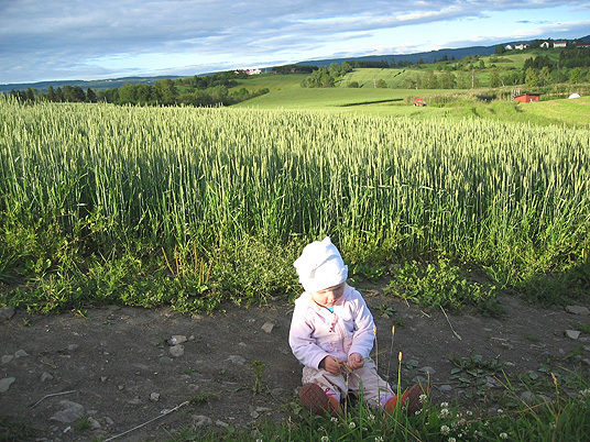 Barn i kulturlandskap. Foto:Gunnar Prøis