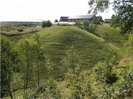Lyshaug. Foto: Turid Rikheim