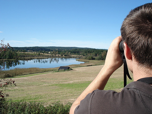 Fugletitting Gjølsjøen, Marker, Østfold. Foto Anne-Louise Daa