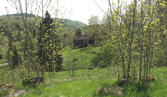 Gammelt kulturlandskap øst for Gjerpensdalen, Skien. Foto: Aud-Torild Stensrød